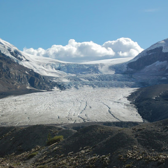 Meet your Posher, KC's Gently Loved Treasures - Picture 1 of 1